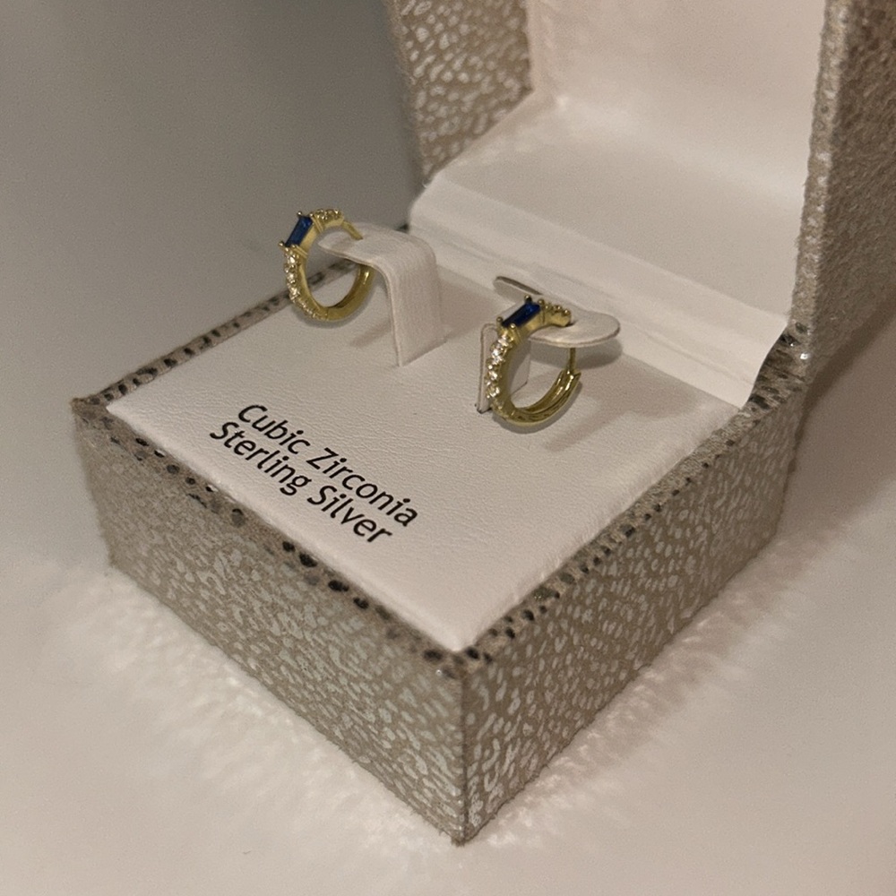 Rachel Ashwell Blue Sterling Silver hoop Earrings